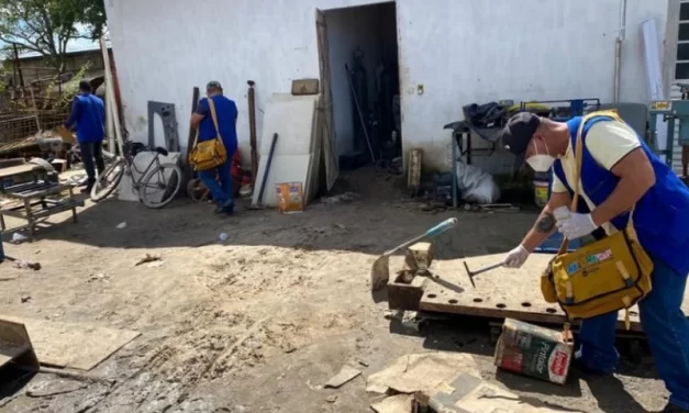 Dengue: aumento da doença pode ser contido com mais investimentos no saneamento ambiental