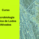 Curso Microbiologia Básica de Lodos Ativados