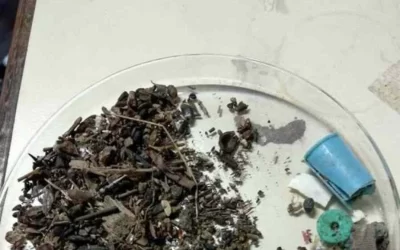 Os desafios para lidar com as toneladas de lixo jogadas nos oceanos