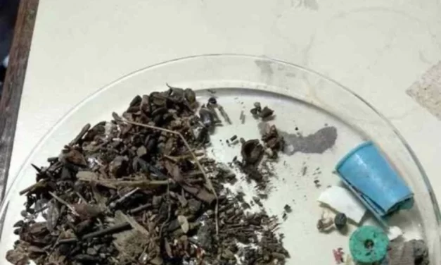 Os desafios para lidar com as toneladas de lixo jogadas nos oceanos