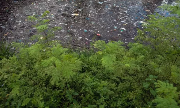 Saneamento precário facilita a dispersão de plástico e microplástico na Amazônia