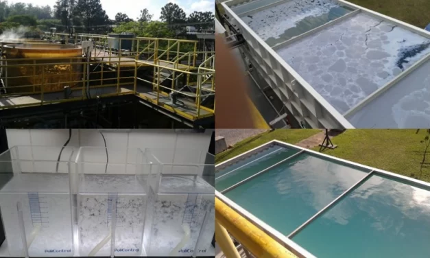 Do jar-test ao ajuste de processo sem mistério em 7 passos!