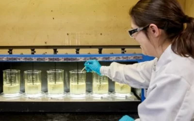 Soluções químicas e monitoramento Veolia