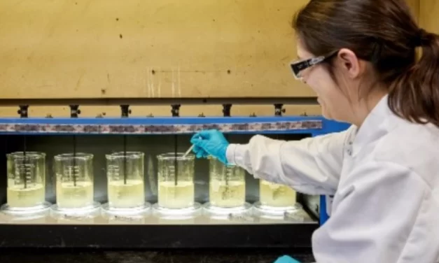 Soluções químicas e monitoramento Veolia