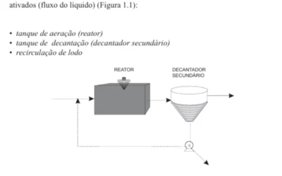 Lodos Ativados: Fundamentos e Aplicações Práticas