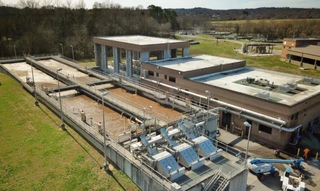 A Sustentabilidade como Vantagem Competitiva no Setor de Celulose e Papel