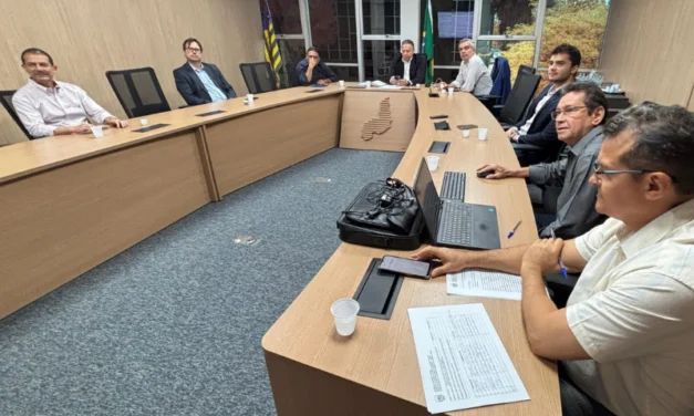 Piauí aprova benefícios e atrai R$ 64 milhões em investimentos industriais