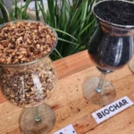 Startup francesa quer implantar mais 50 fábricas de biocarvão no ES