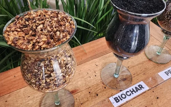 Startup francesa quer implantar mais 50 fábricas de biocarvão no ES