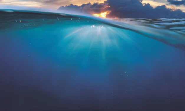 Monitoramento digital: a tecnologia da Veolia a serviço da sustentabilidade na mineração