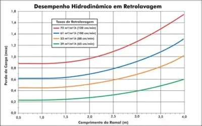 Diagnóstico Hidrodinâmico e Otimização de Retrolavagem em Filtros de Leito Profundo