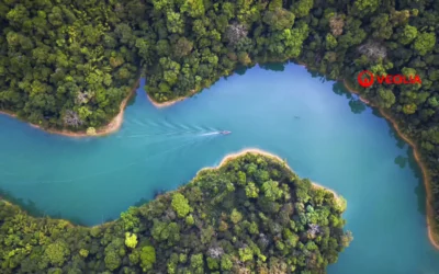 Remoção de Fósforo: Desafio Estratégico para a Mineração Sustentável