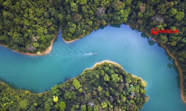 Remoção de Fósforo: Desafio Estratégico para a Mineração Sustentável