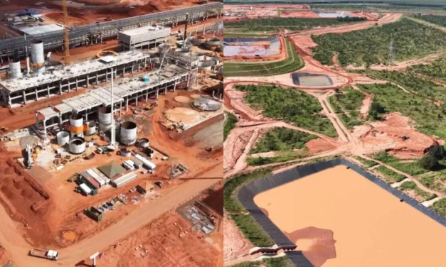 Como está ficando a maior fábrica de celulose do mundo erguida de uma só vez